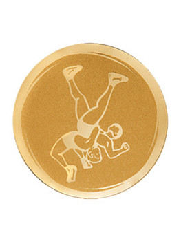 Вкладыш в медаль/ приз/ кубок - VK391-002