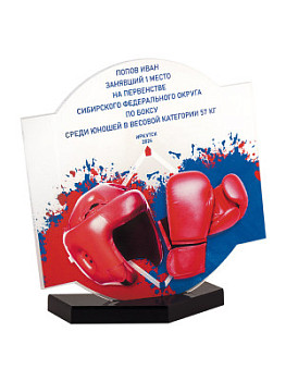 Награда «Бокс» акриловая - PS1904